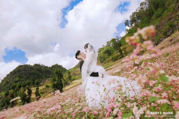 Địa điểm chụp ảnh cưới với hoa tam giác mạch