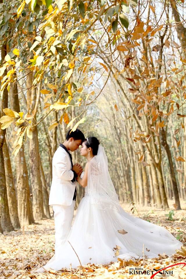 Những địa điểm chụp ảnh cưới đẹp nhất Bình Phước.