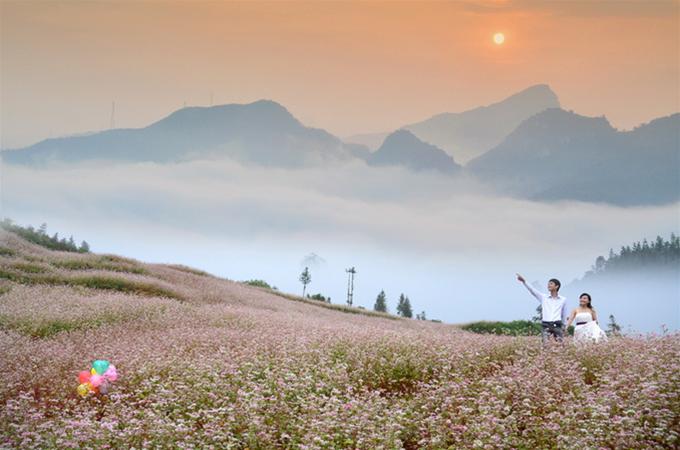 Địa điểm chụp ảnh cưới với hoa tam giác mạch đẹp nhất Hà Giang.