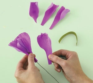 Cách làm hoa tulip bằng giấy nhún vô cùng đẹp mắt ngay tại nhà.