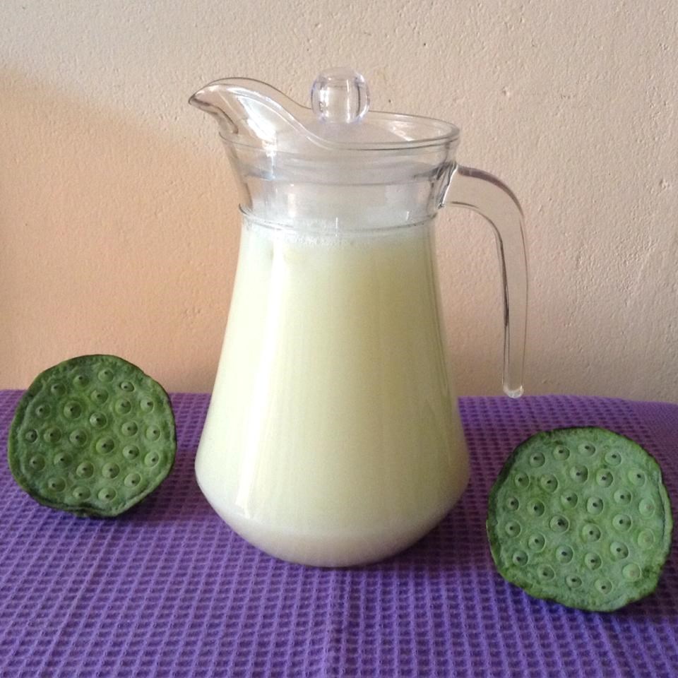 Cách làm sữa hạt sen vô cùng bổ dưỡng, thơm, ngon và dễ làm ngay tại nhà.