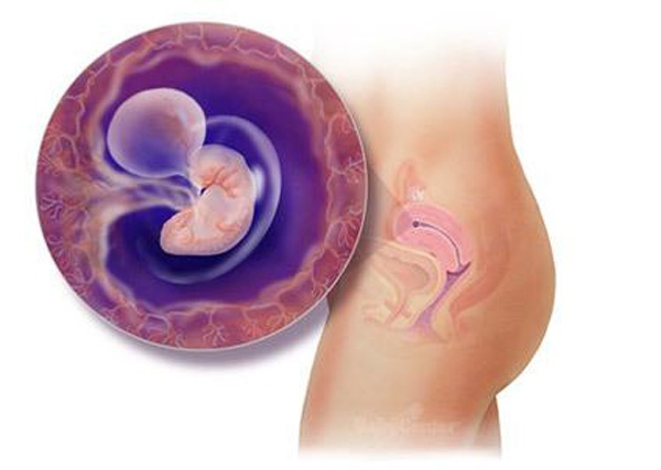 Những hình ảnh của 41 tuần thai nhi vô cùng độc đáo trong bụng mẹ.