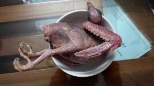 Cách nấu món bồ câu nhồi tôm thịt