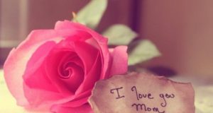 Tuyển tập những câu nói cảm động nhất về mẹ trong ngày lễ Vu Lan báo hiếu