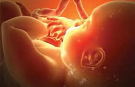 Những nguy hiểm hiện tượng dây rốn quấn cổ ở thai nhi mà mẹ bầu phải biết và các cách phòng ngừa. 