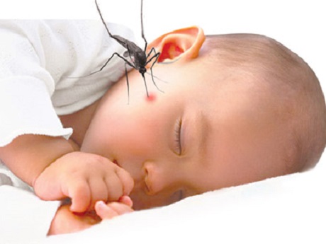 Trẻ bị sốt xuất huyết phải làm sao và những dấu hiệu triệu chứng và cách chăm sóc tốt nhất.