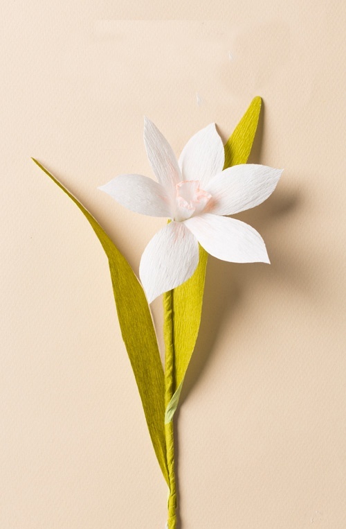Các loại giấy được dùng phổ biến để làm những bông hoa giấy độc đáo