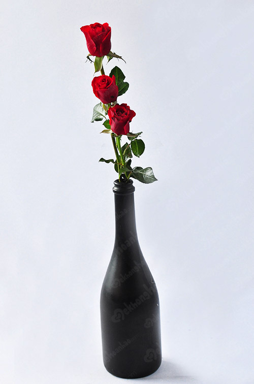 Cách cắm hoa cho ngày Tết từ vỏ chai nhựa vô cùng độc đáo