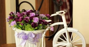 Hướng dẫn làm chiếc xe đạp hoa để trang trí cho ngày Tết thêm màu sắc
