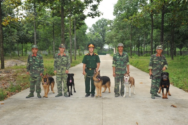 Schutzhund trong cách huấn luyện chó