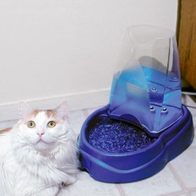 Hướng dẫn kinh nghiệm về nước uống cho chó mèo