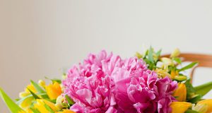 Hướng dẫn 3 cách cắm hoa vô cùng đơn giản mà lại đẹp mắt