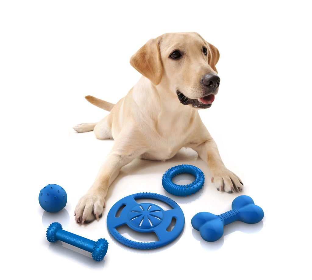 Các món đồ chơi an toàn cho chú cún