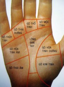 Ý nghĩa của 9 gò lòng bàn tay
