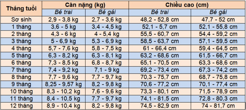 Cân nặng, chiều cao của bé 6 tháng tuổi và chế độ dinh dưỡng khoa học cho con