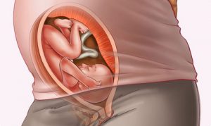 Những thay đổi về thai nhi và mẹ bầu ở tuần thai thứ 29